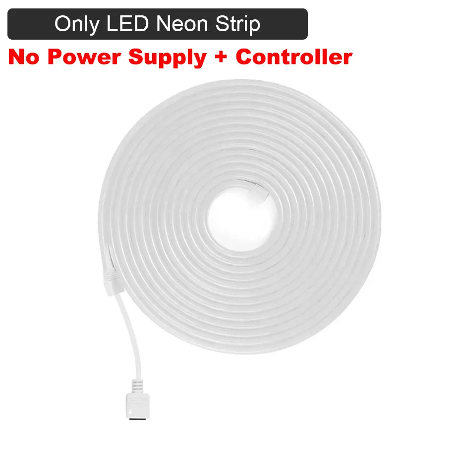 DC12V Waterproof LED Neon Light Strip RGB Dimmable 1m-10m 120Leds/m Tuya Smart WiFi/ Bluetooth/IR Remote Flexible Tape for Room